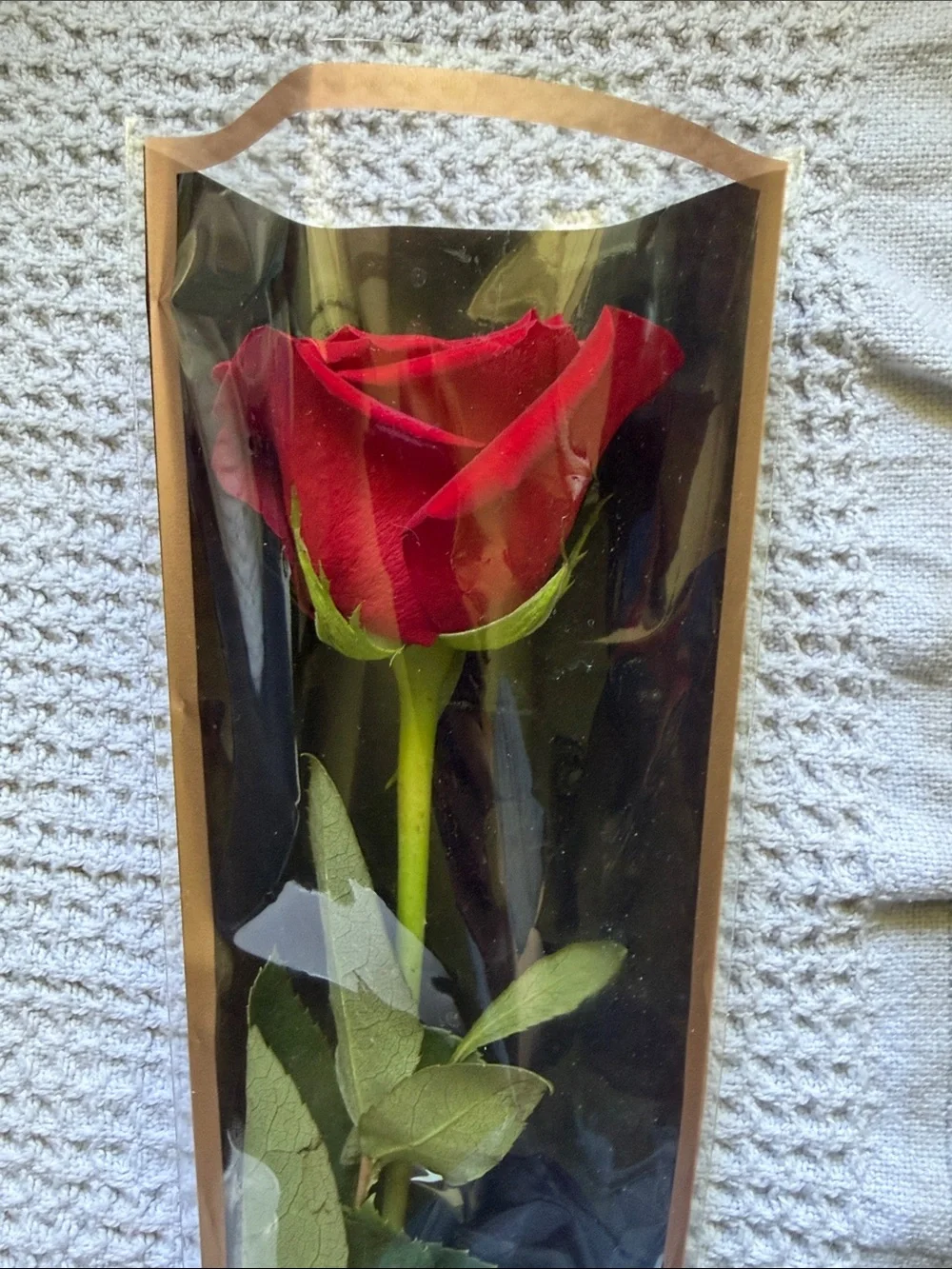Set of 35 Single Rose Plastic Flower Cellophane Wrapping Black & Champagne🌹 🌺 🌼